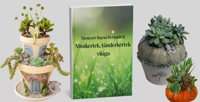 Bernikert Webshop