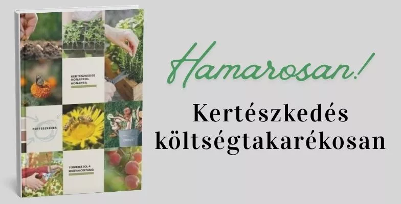 kertészkedés költséghatékonyan