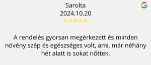 Bernikert Webshop