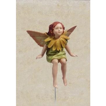 Körömvirág tündér 