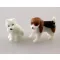 White / Beagle dog