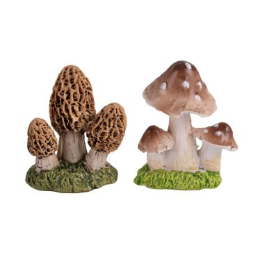 Mushrooms (2pcs)