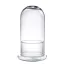 Glass plant terrarium