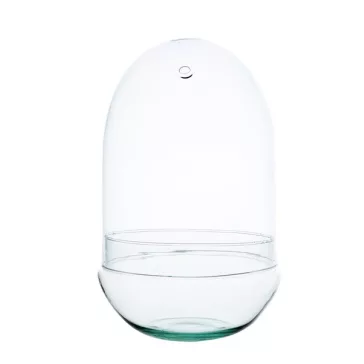 Glass plant terrarium
