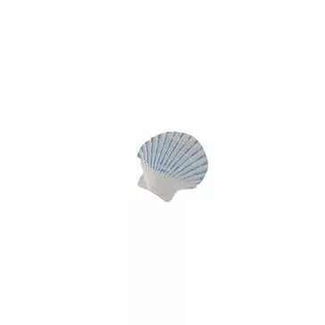 Seashell (self-adhesive)