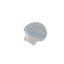 Seashell (self-adhesive)