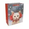 Giftbag with Crhistmas pattern