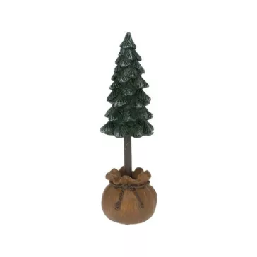 Pine tree in pot
