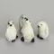 Penguins