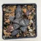 Haworthia splendens 'YUKI KESHIKI'
