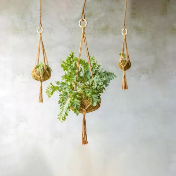 Macrame Plant Hanger  47cm