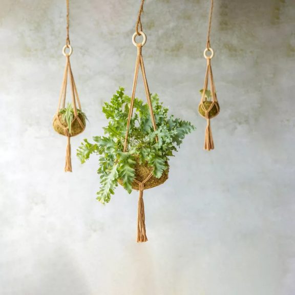 Macrame Plant Hanger  71cm
