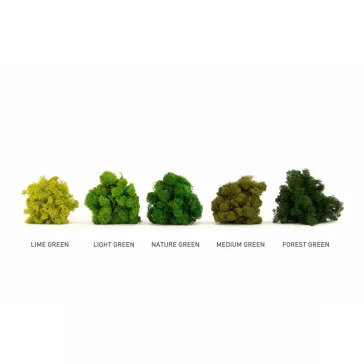PRESERVED REINDEER MOSS - BOX 1 KG - FOREST GREEN