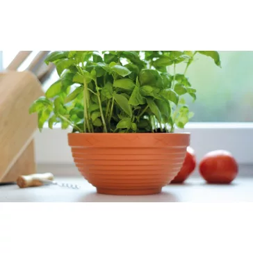 Misa planter Ø13cm