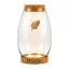 Glass Terrarium Jar with LED Cork Lid Moments Home