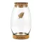 Glass plant terrarium with cork 28cm
