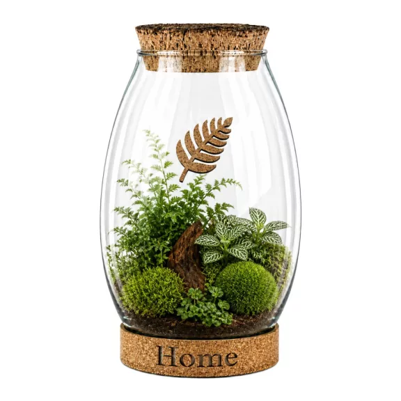 Glass plant terrarium with cork 28cm