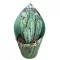 Myrtillocactus geometrizans - Blue Candle Cactus