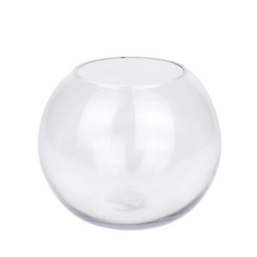 Glass bowl (plant terrarium)