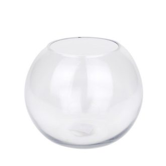 Glass bowl (plant terrarium)