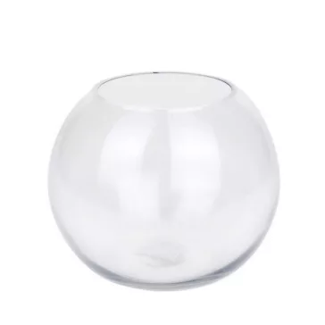 Glass bowl (plant terrarium)