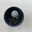 Pelecyphora Aselliformis
