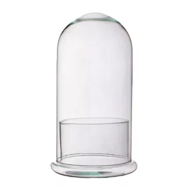 Glass plant terrarium