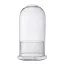 Glass plant terrarium