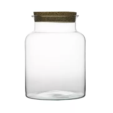 Glass plant terrarium with cork