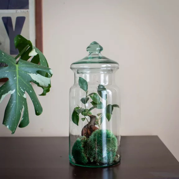 Glass jar vase 32 cm