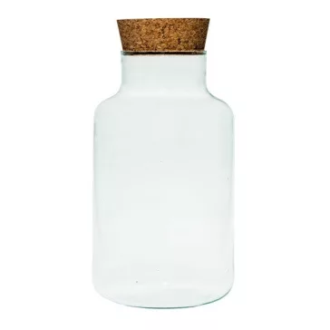 Glass plant terrarium with cork 