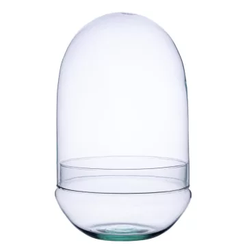Glass plant terrarium