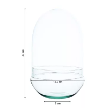Glass plant terrarium