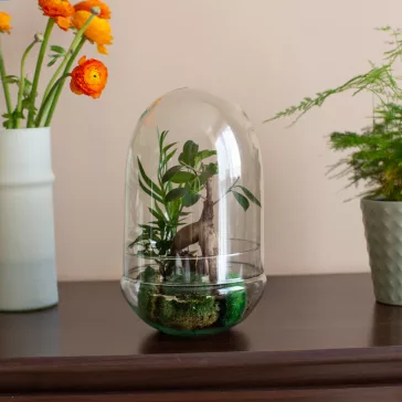 Glass plant terrarium
