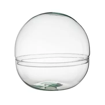 Glass sphere plant terrarium