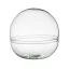 Glass sphere plant terrarium
