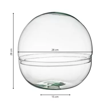 Glass sphere plant terrarium