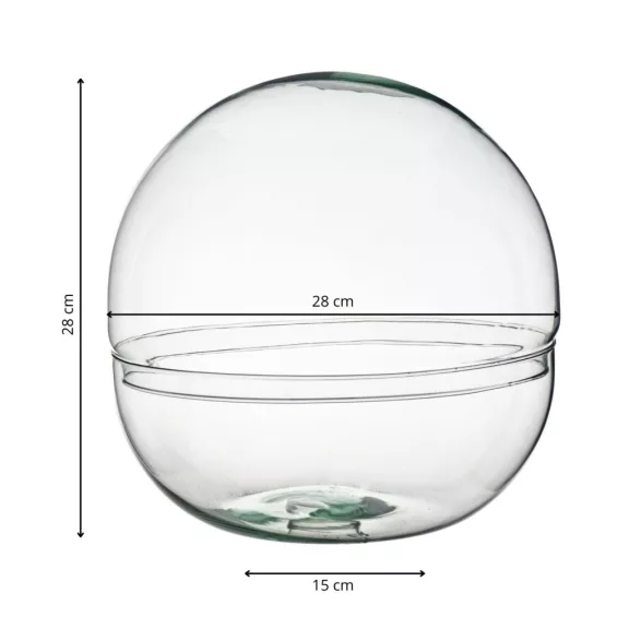 Glass sphere plant terrarium