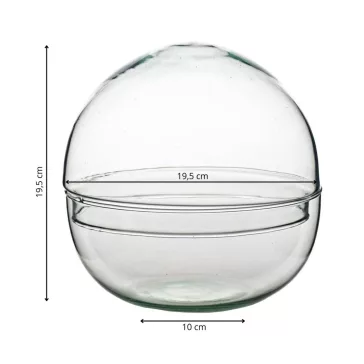 Glass sphere plant terrarium M size