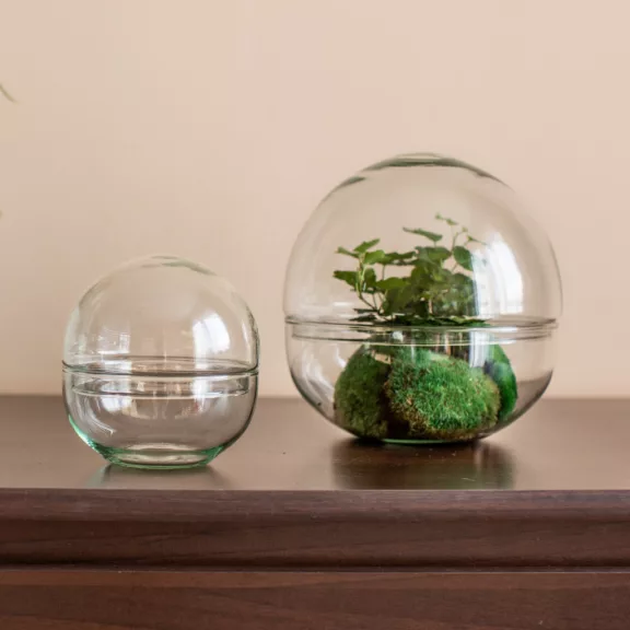 Glass sphere plant terrarium M size
