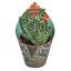Aloe variegata