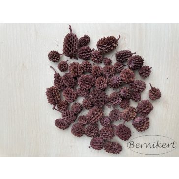 Casuarina bordo 50g