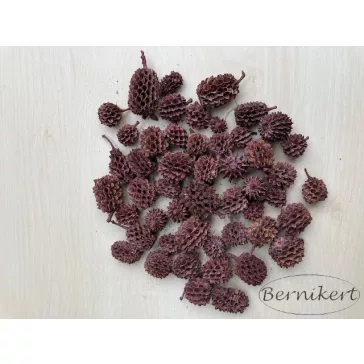 Casuarina bordo 50g