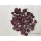 Casuarina bordo 50g