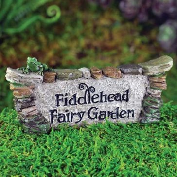 Fiddlehead Fairy Garden