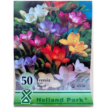 Flower bulbs for spring planting