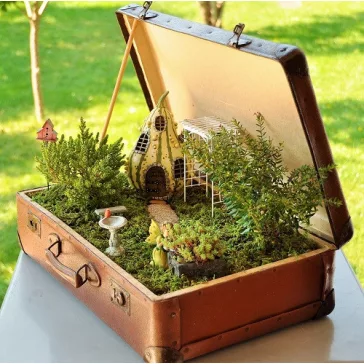 Miniature Garden - Fairy Garden