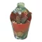Crassula capitella subsp. thyrsiflora
