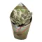 Crassula ovata 'Money maker' variegata