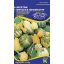 Ornamental pumpkin (small) seeds